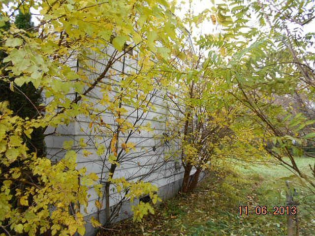 2nd image of 3517 Spruce St