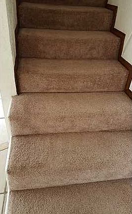 5th image of 1583 Bengal Dr APT D