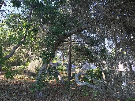 5th image of 752 Westwood Beach Cir