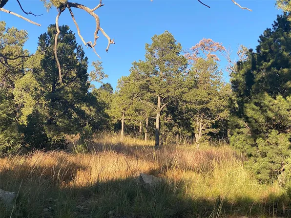 15 Wild Wing Cir, Pecos, NM 87552