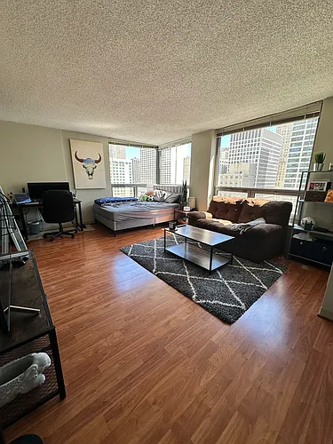 440 N Wabash Ave #1910 Photo 1