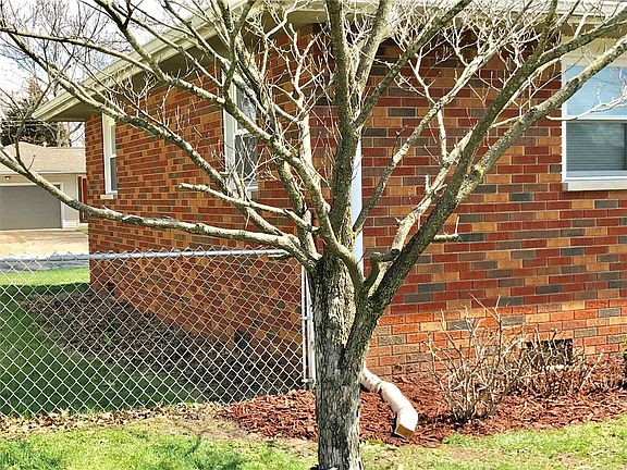 5th image of 428 Sanders St