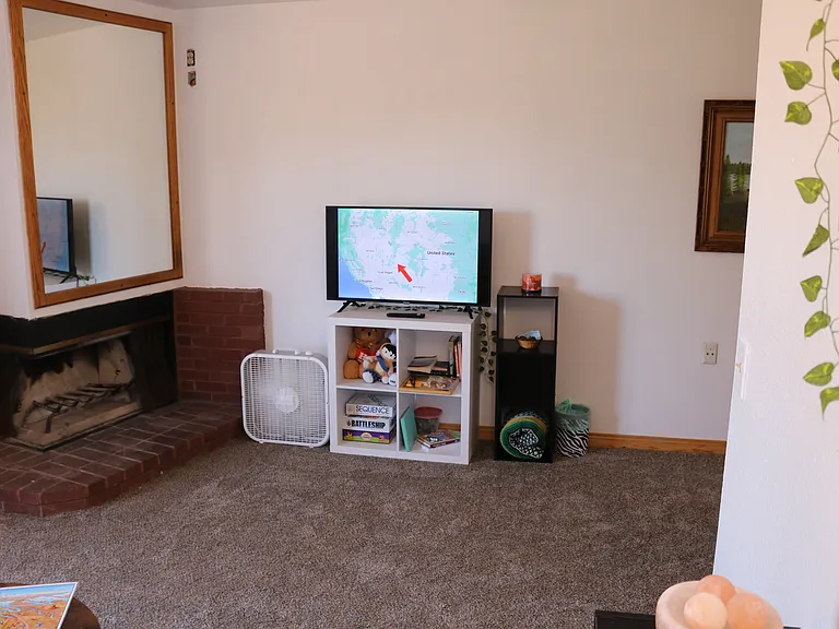 Fireplace and entertainment center.