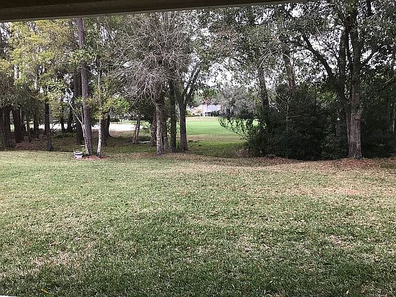 Back Yard and Golf Course