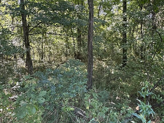 4th image of 8322 Horton Hwy