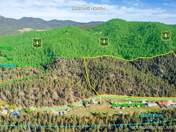 Lots 3 & 4 Old Hill City Rd, Keystone, SD 57751