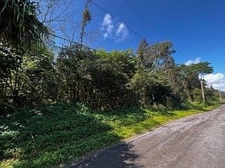 1st image of 23rd Avenue Naupaka Lot 1125