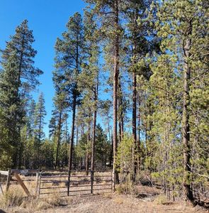 51341 Welch Rd, La Pine, OR, 97739