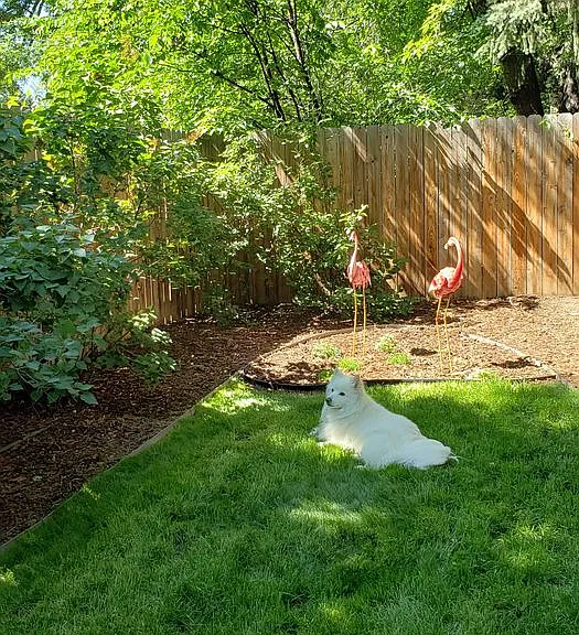 137 Yale Ave — Photo 22