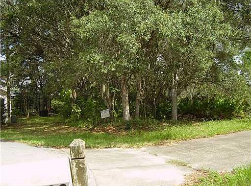 2nd image of 410 Anise Pl