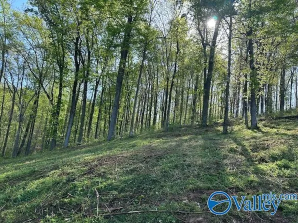 Lot 27 Hualapai Lane, Guntersville, AL 35976