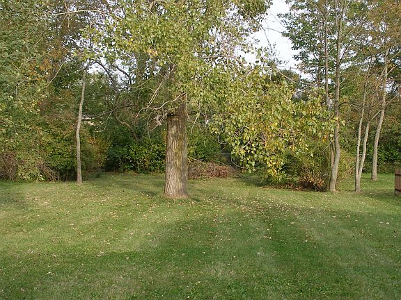 Deep wooded lot patio view