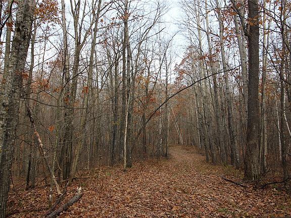 3rd image of 120 Acres CTY HWY D