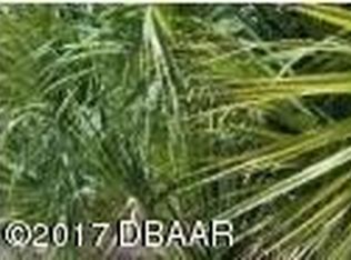 407 Dunlawton Ave, Pt Orange, FL 32127