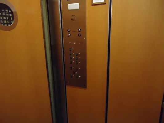 Rented by The Coop Connection LLC | media 20