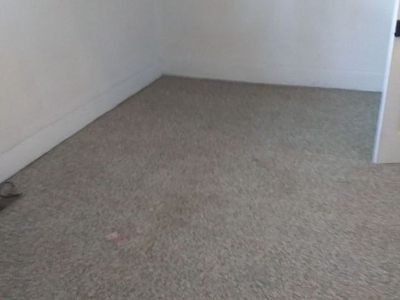 5th image of 205 Griscom St