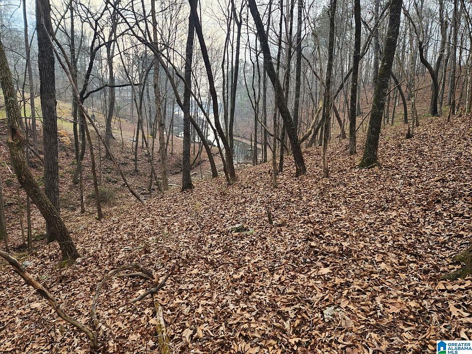 1st image of Mays Bend Dr #176