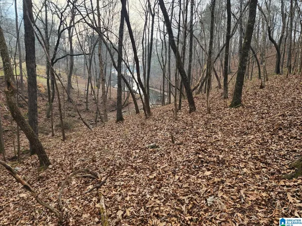 Mays Bend Dr #176 & 177, Pell City, AL 35128