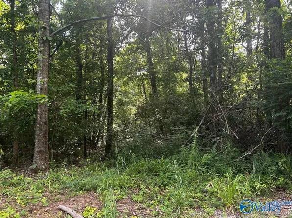 6.7 Leslie Willis Rd, Somerville, AL 35670