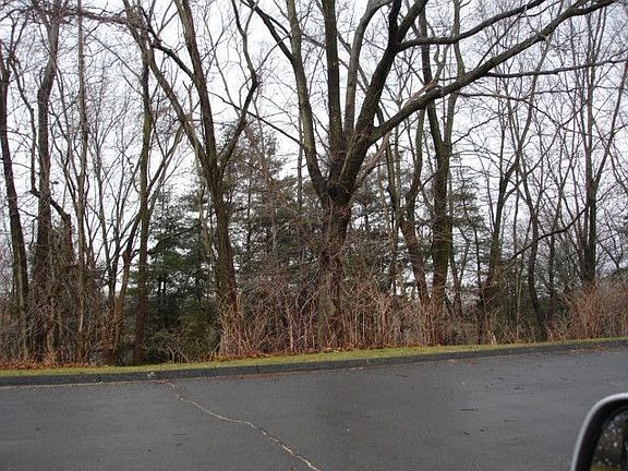 SIDE VIEW WOODS