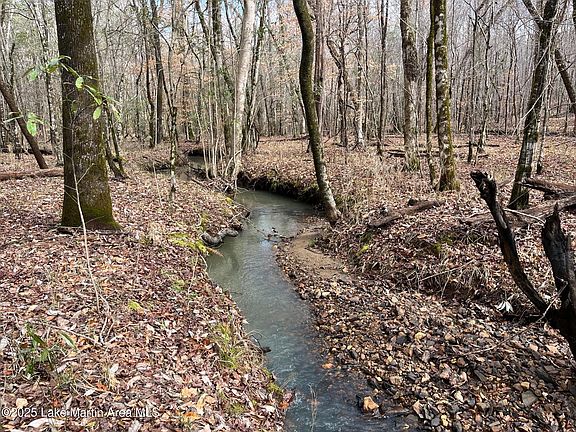 5th image of 87.5 Acres Hwy S #49