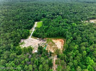 94 Desoto Rd, Mc Henry, MS 39561