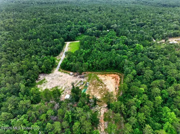 94 Desoto Rd, Mc Henry, MS 39561
