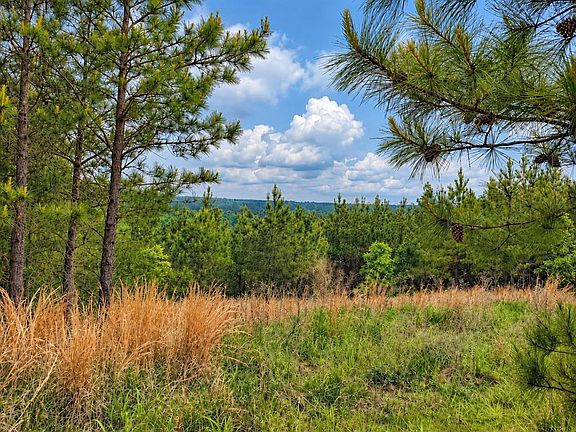 5th image of 158 Legacy Ridge Trl Lot 55