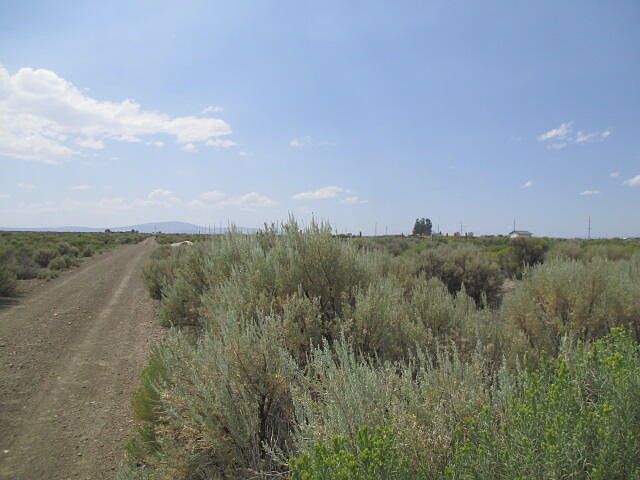2nd image of Tl 2800 Nw Bark #[27s17e18-b0