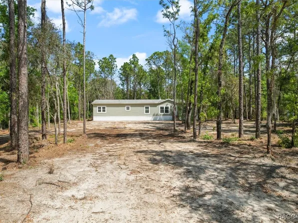 6529 W Appomattox Ln, Homosassa, FL 34448