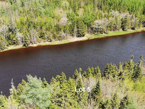 4th image of Lower River Rd Lot 5