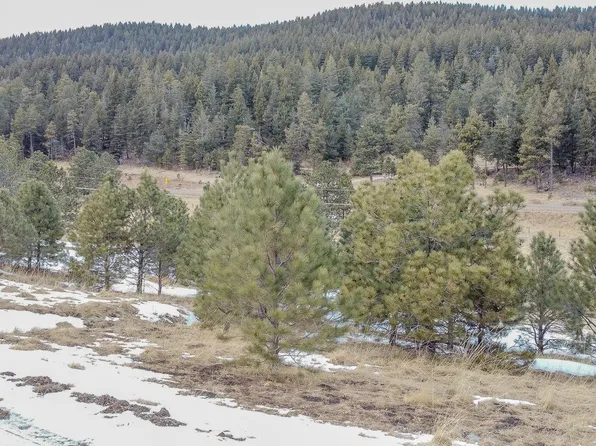 24 Trading Post Rd, Cloudcroft, NM 88317