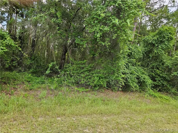 4912 E Cristen Ct, Inverness, FL 34452