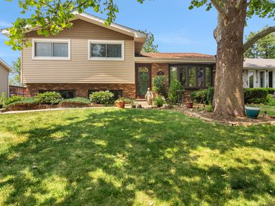 1202 Shoals Dr, Lockport, IL, 60441