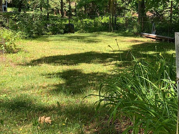 Garden behind apartment.