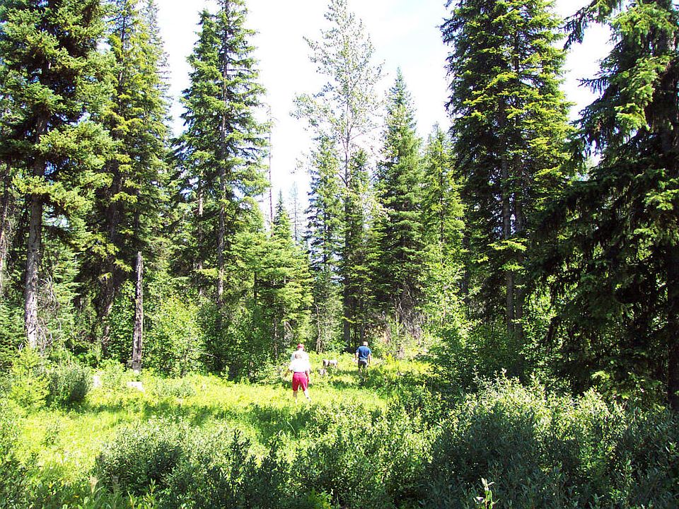 Nhn Trail Creek Rd, Polebridge, MT 59928 Zillow