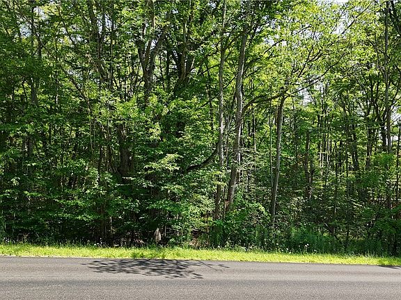 3rd image of County Road 49 #5