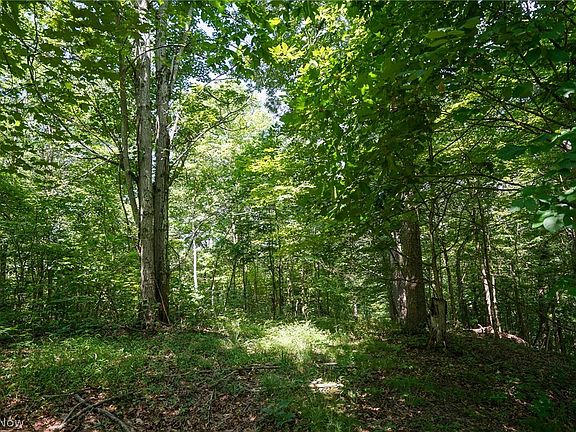 5th image of 235 Butterbean Ridge Rd