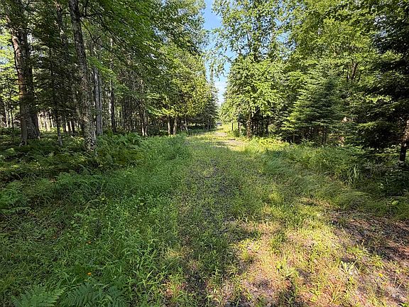 3rd image of 14598 Arnheim Rd
