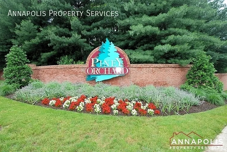 2455 Warm Spring Way — Photo 34