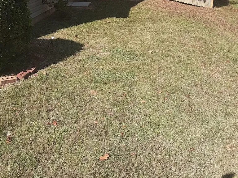 318 Derby Dr — Photo 13