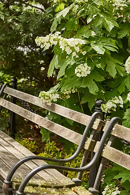 Rented by R New York | media 12