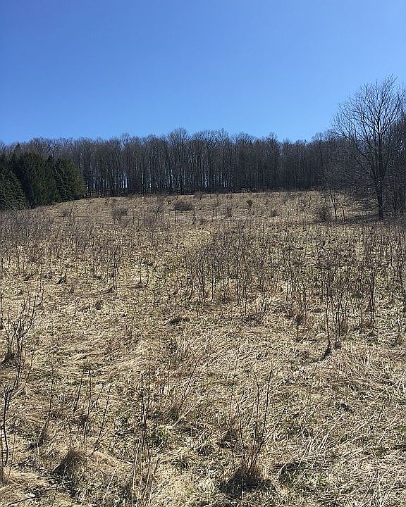 2nd image of 2658 Amber Rd