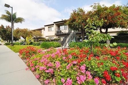 1st image of 326 Hollipat Center Dr APT 16