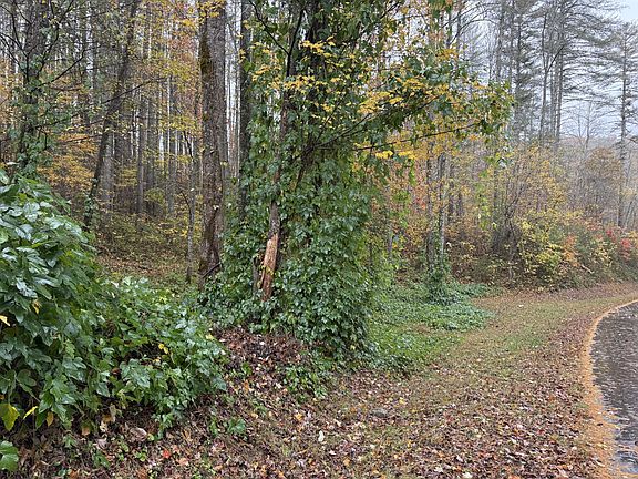 5th image of 34 Rustling Woods Trail