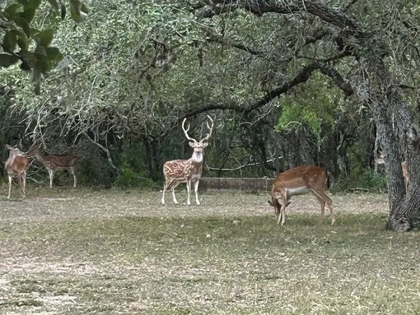 305 County Road 305, Beeville, TX 78102