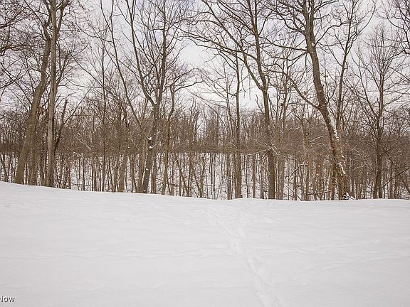 5th image of 222 Regina Dr #E