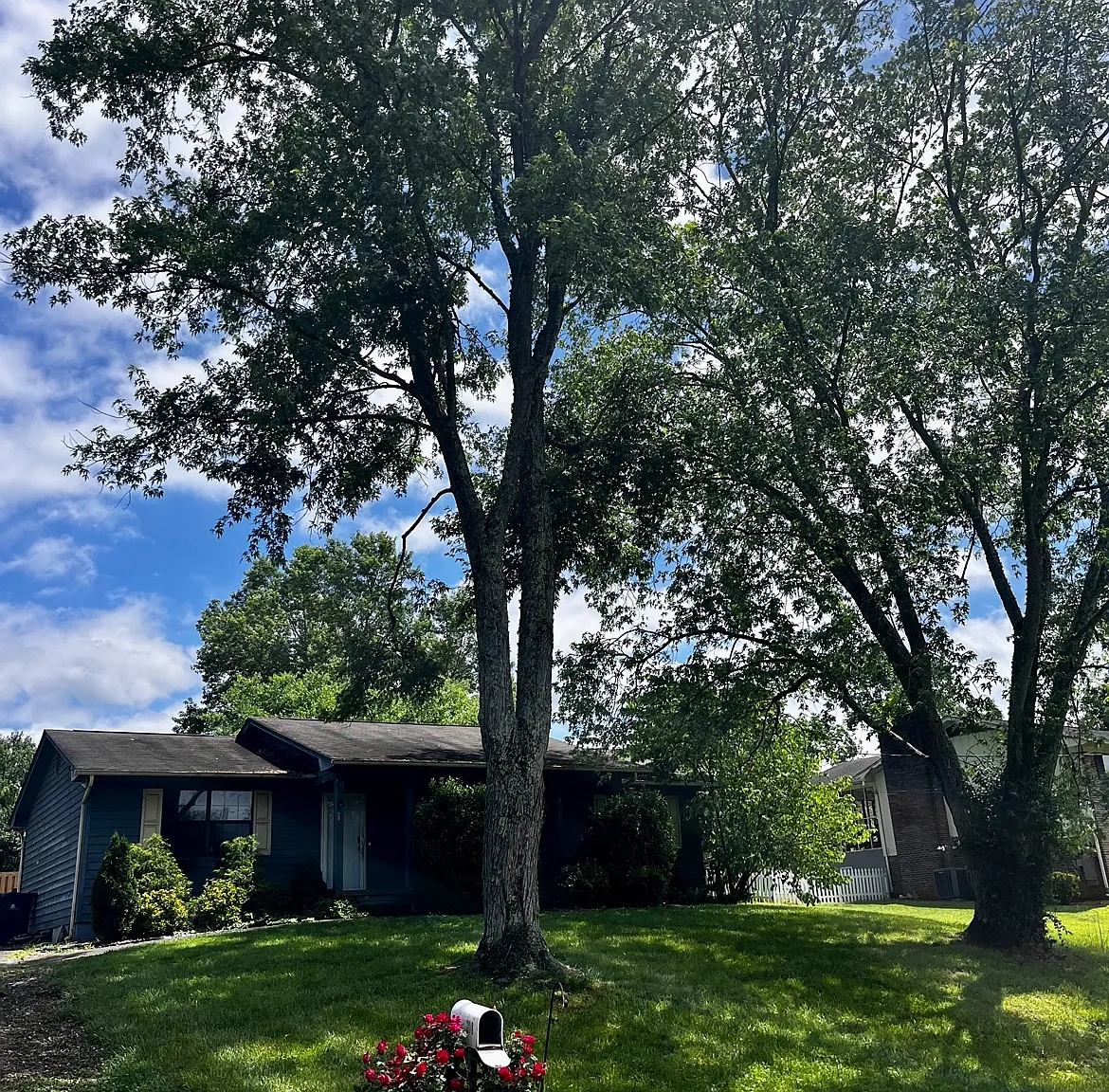 208 Mount David Dr — Photo 3