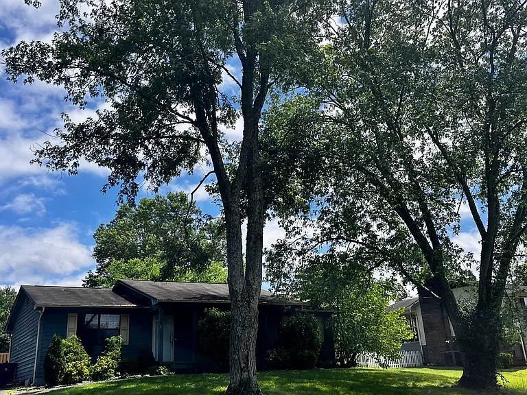 208 Mount David Dr — Photo 3
