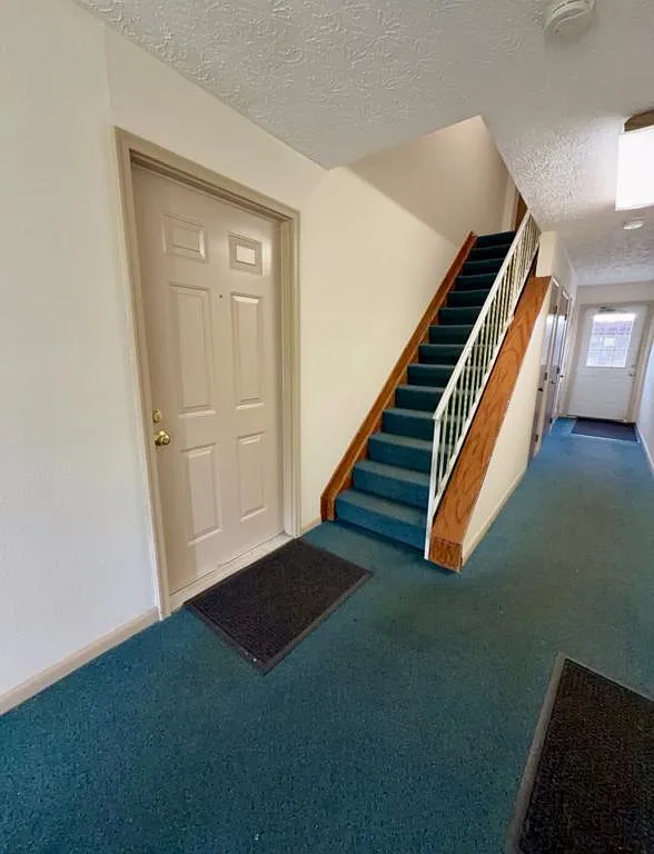 3718 Indian Run Dr — Photo 2